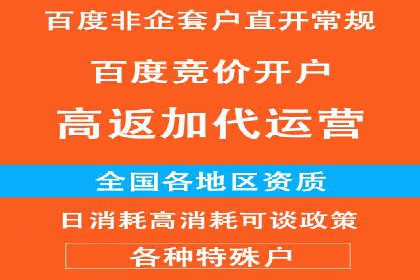 某品牌SEM广告策略揭秘——代运营公司的智慧